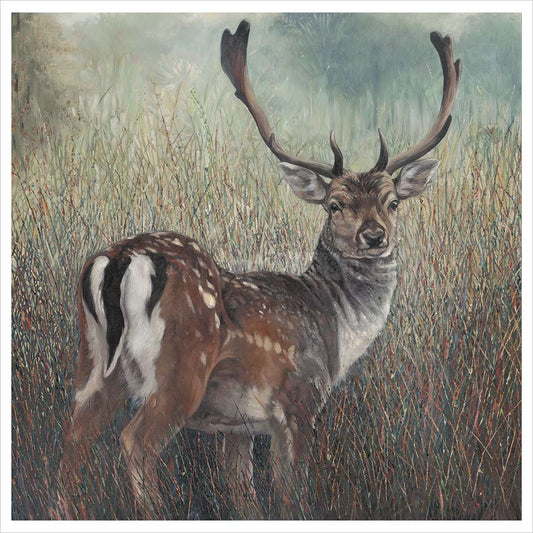 Julia Whitehead Fallow Deer