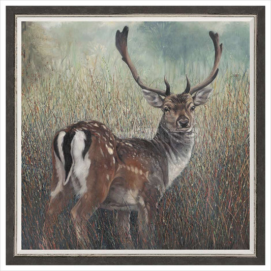 Julia Whitehead Fallow Deer