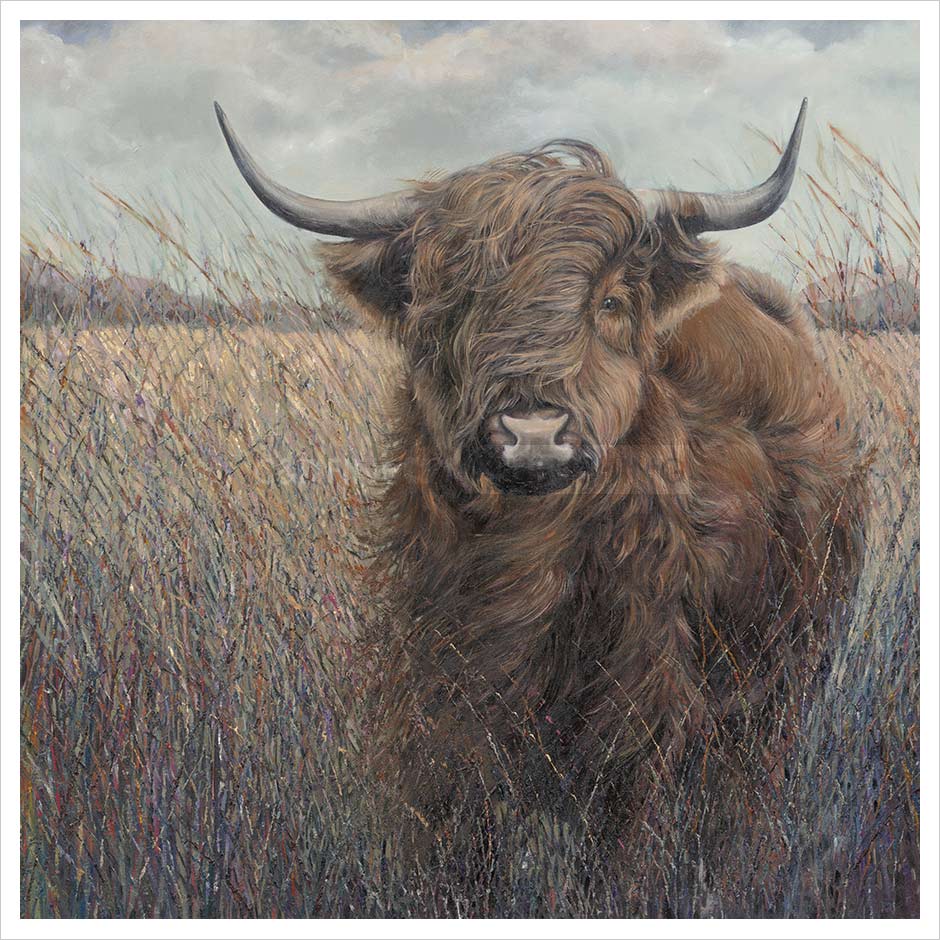 Julia_Whitehead_Highland_Cow