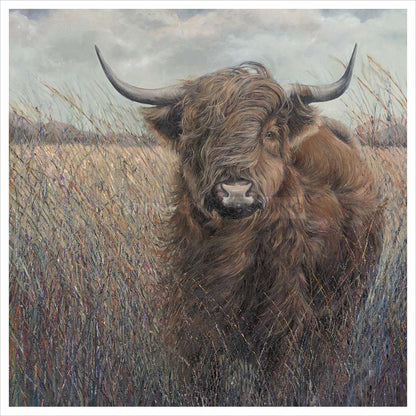 Julia_Whitehead_Highland_Cow