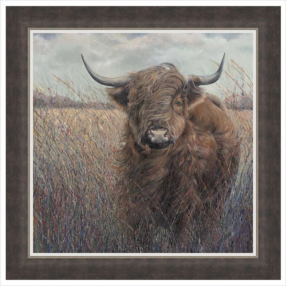 Julia Whitehead Highland Cow