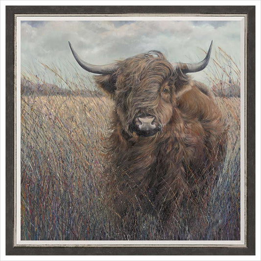 Julia Whitehead Highland Cow 