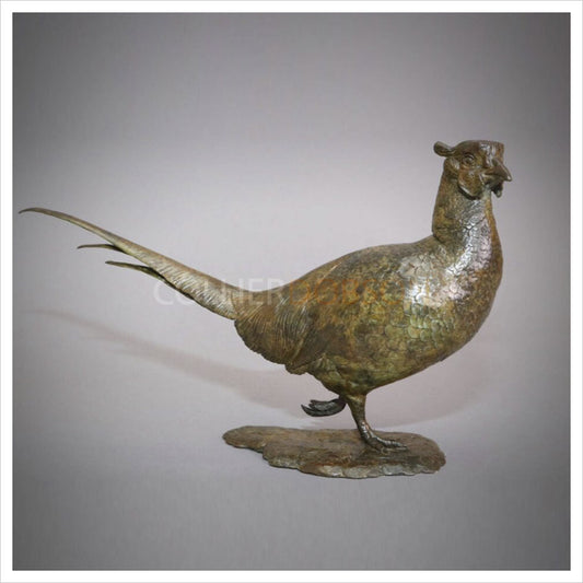 Walking Pheasant by William Montgomery
