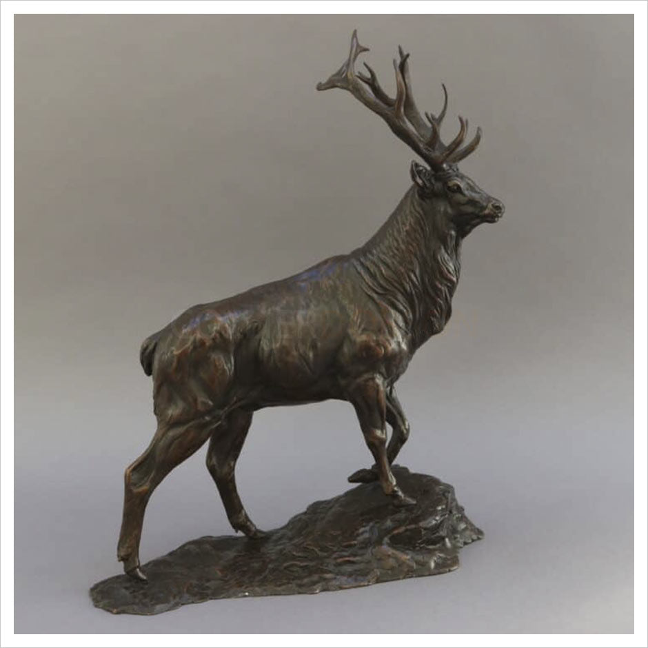 Red Deer Stag by William Montgomery