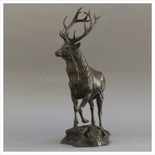 Red Deer Stag by William Montgomery