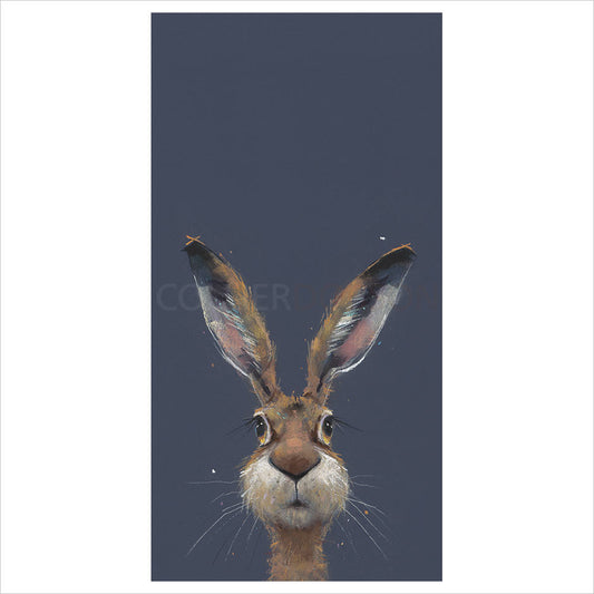 Midnight Hare by Nicky Litchfield