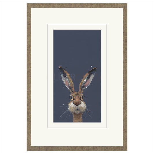 Midnight Hare by Nicky Litchfield