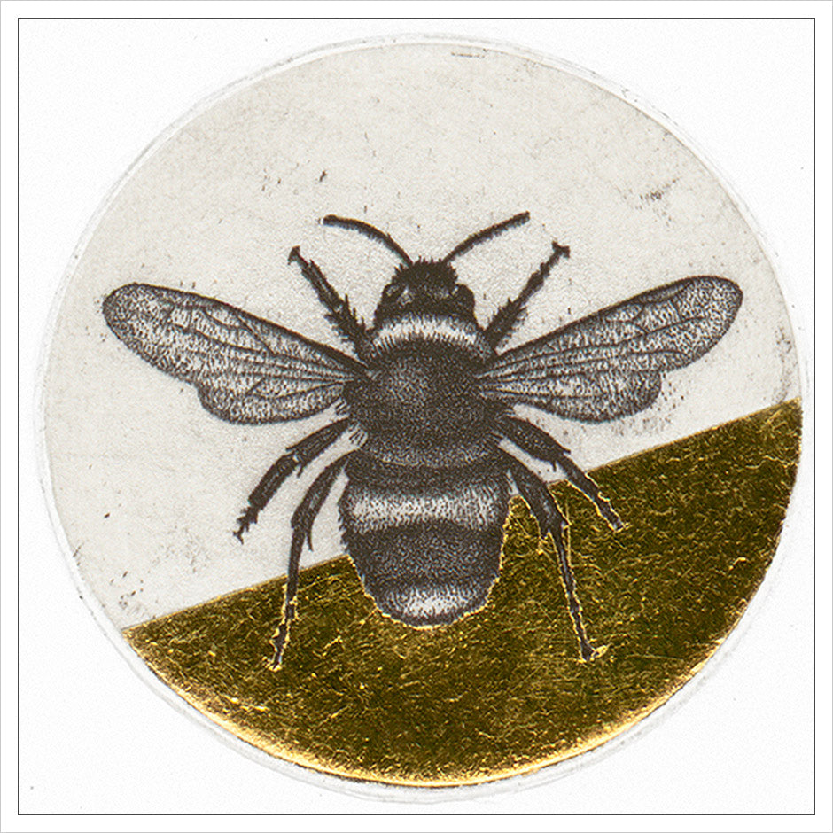 Guy Allen Limited Edition Original print | Bumble Bee Study – Collier ...